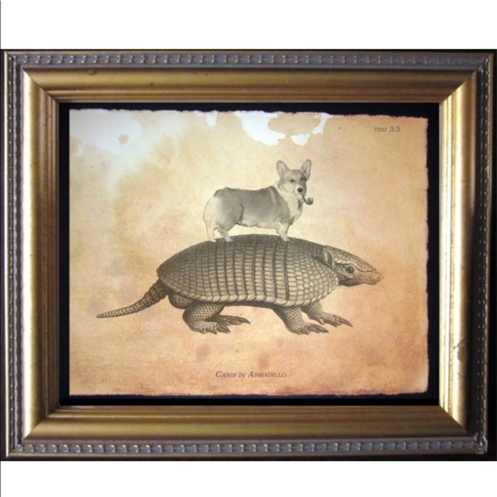 Corgi Dog Riding Armadillo Art Print Tea Stained - Picture 1 of 2